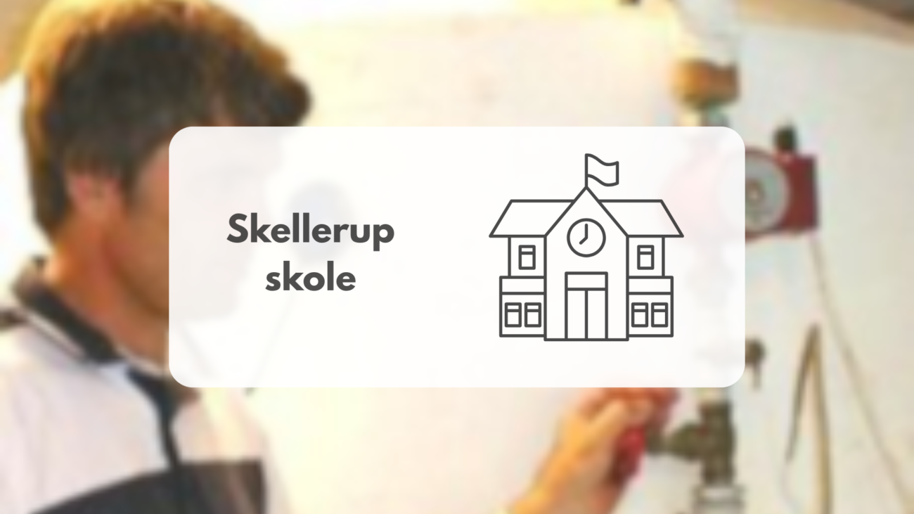 Skellerup Skole – referenskund